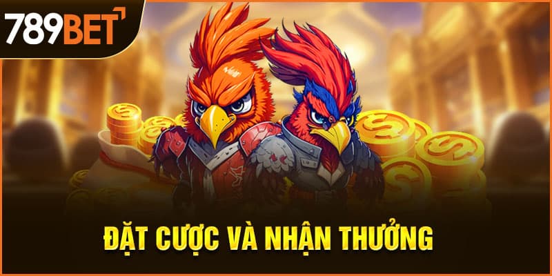 Đặt cược và nhận thưởng