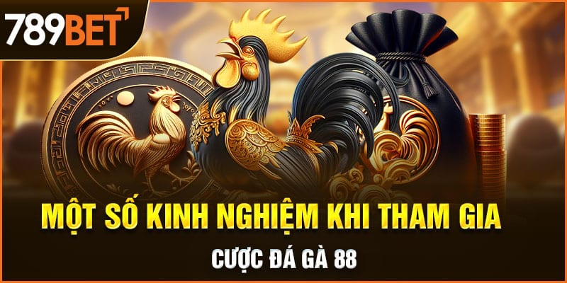 Bí quyết tăng cơ hội thắng lớn trong đá gà 88
